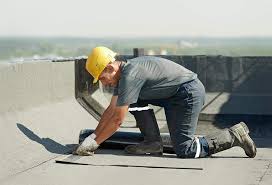 Best Roof Maintenance and Cleaning  in Lasalle, IL